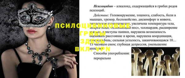 индика Заполярный