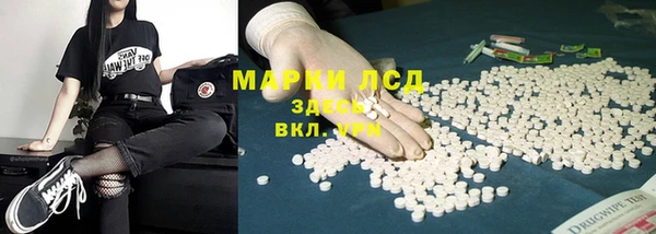индика Заполярный