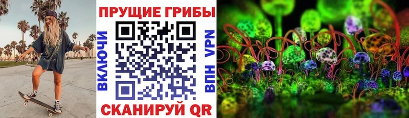 наркотики Снежинск Псилоцибиновые грибы ЛСД